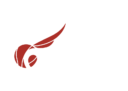 BBC SAM Logo